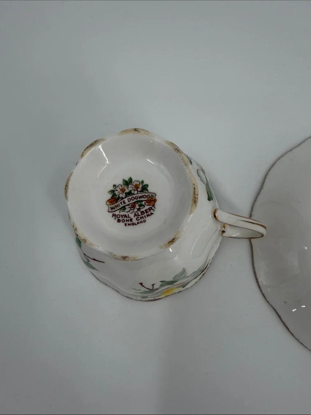 Royal Albert Dogwood Vintage Floral Porcelain Teacup & Saucer Flowers